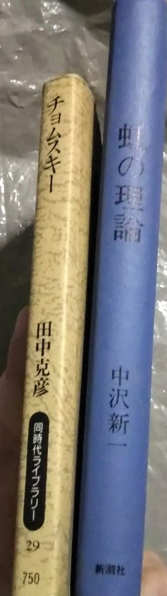 书籍2册乔姆斯基田中克彦同时代图书馆/彩虹的理论中泽新一新潮社