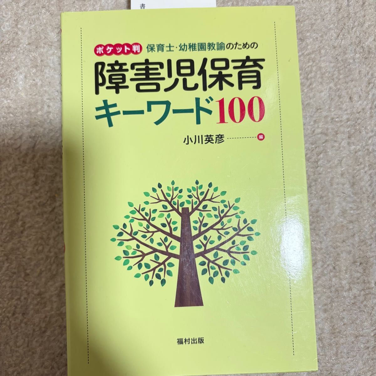 保育员 · 幼儿园教师的残疾儿童保育关键词100口袋判