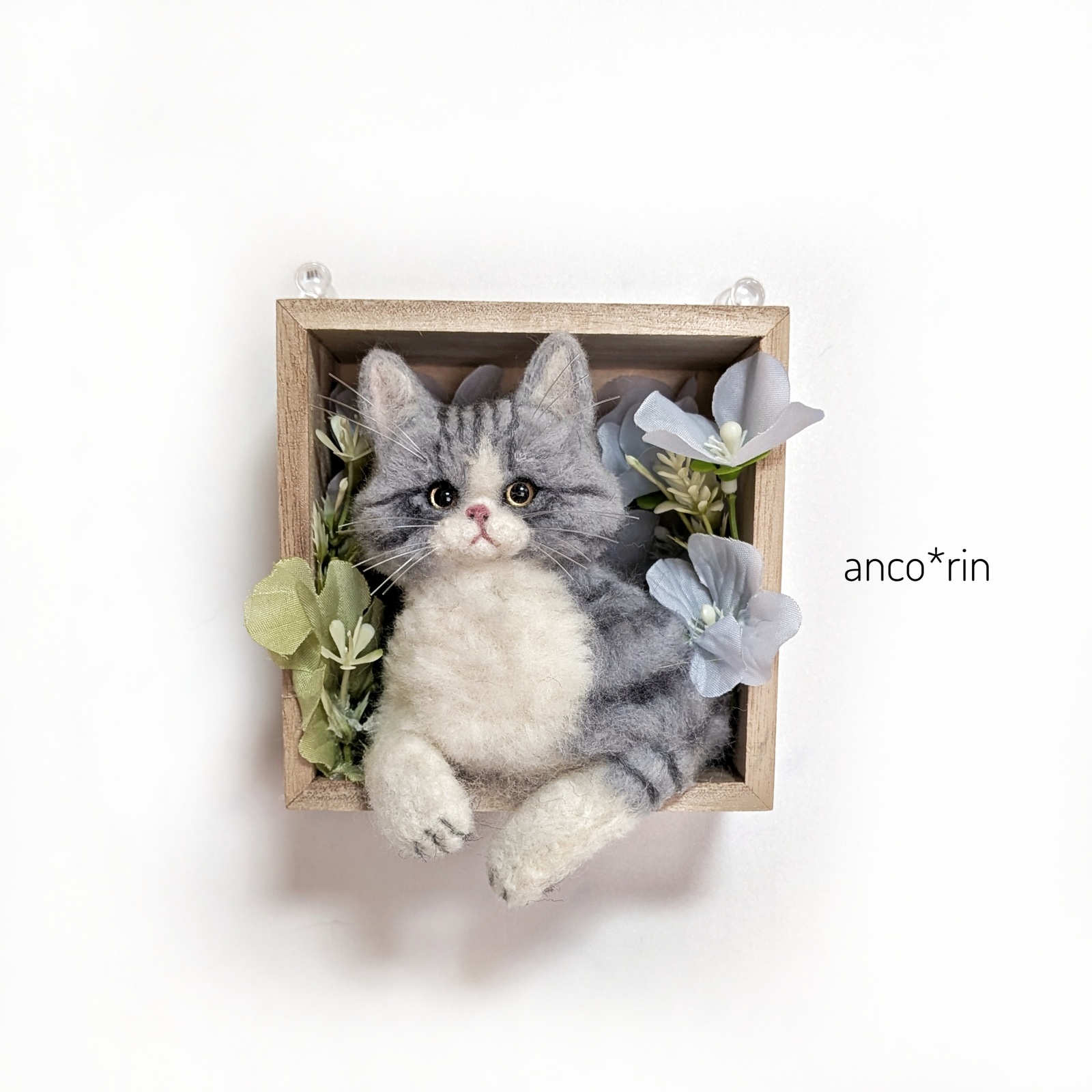 羊毛毡猫萨巴特拉猫的立体框架盒