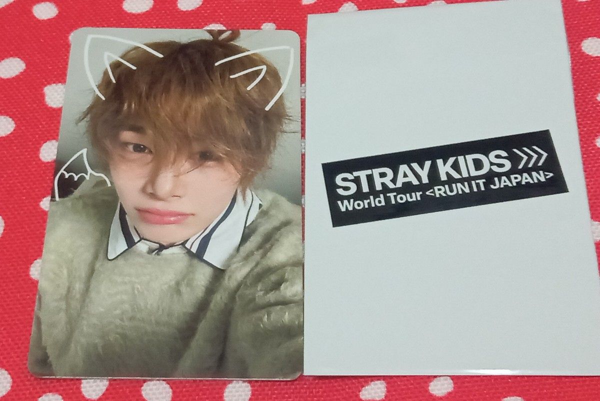 Stray Kids RUN IT JAPAN POPUP STORE 購入特典 フォトカード アイエン