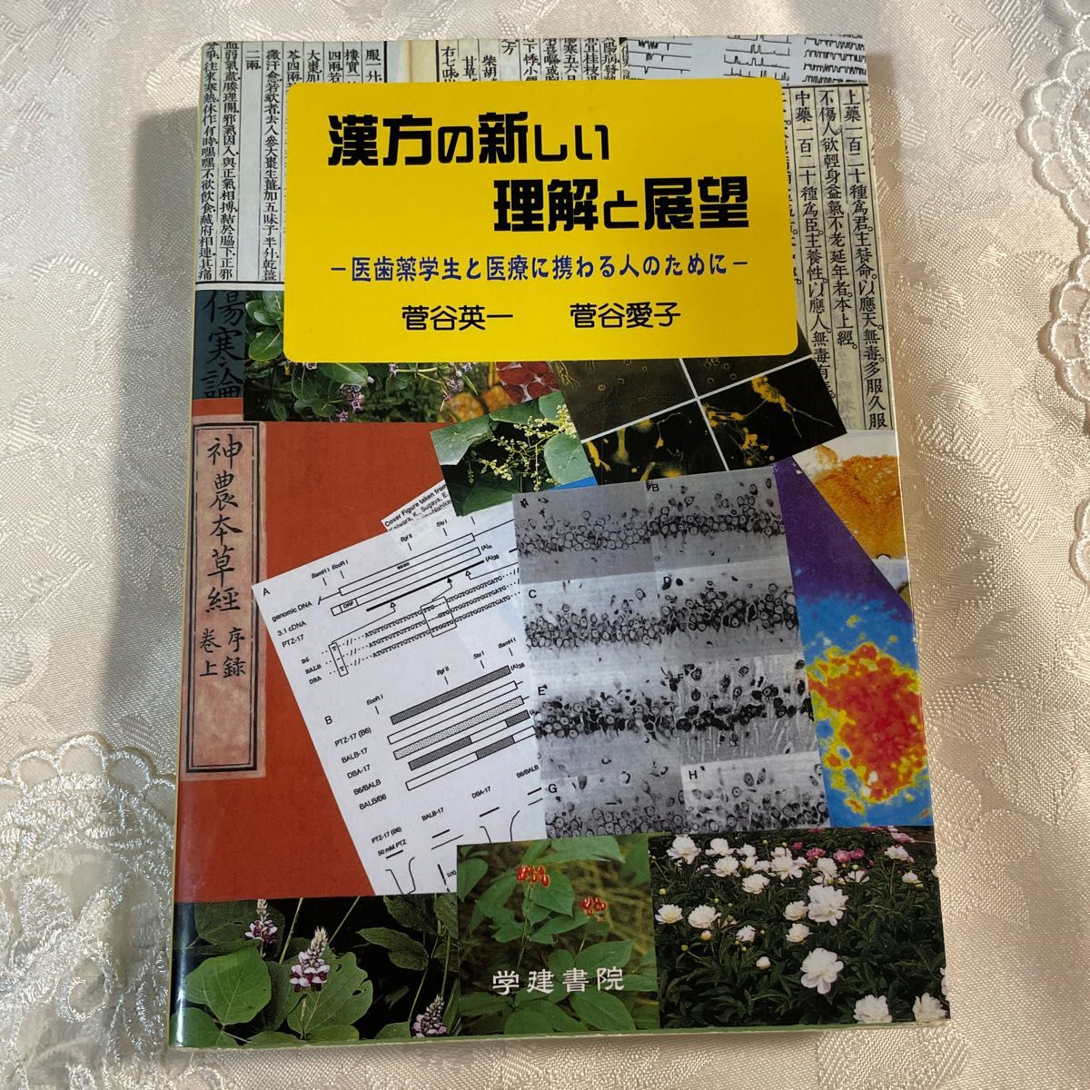 汉方的新理解与展望 菅谷英一 菅谷爱子