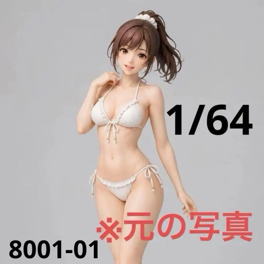 1/64 Figure 8001-01 Swimsuit Completed Mini Car Diorama