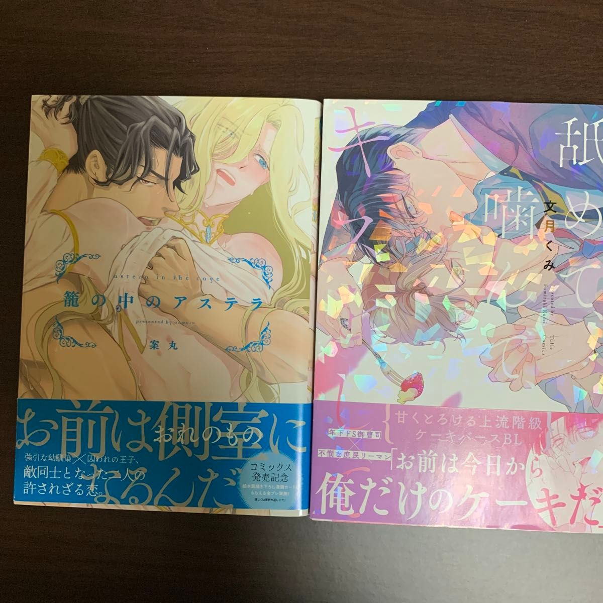 籠の中のアステラ 案丸 2冊セット 舐めて、噛んで、キスをして 文月くみ