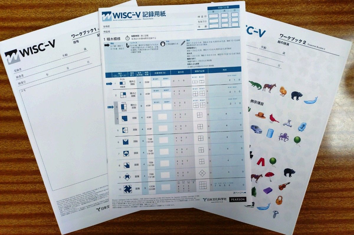 WISC-V Intelligence Test Recording Forms, 3-Piece Set