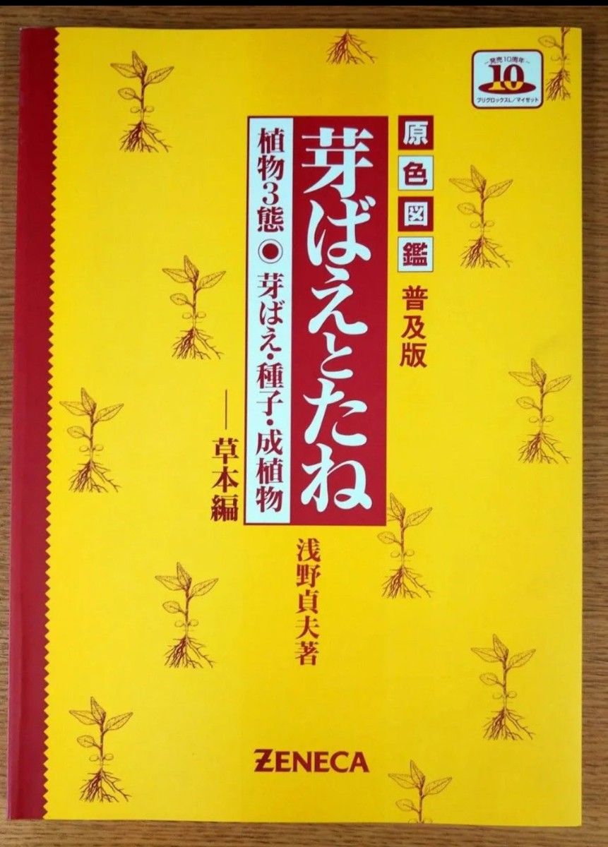 原色图鉴: 萌芽与种子普及版