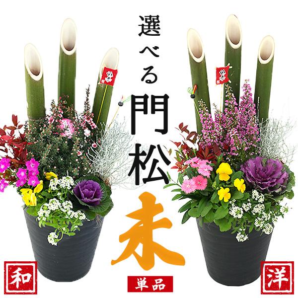 New Year Decoration Kadomatsu Free Shipping 'New Year Arrangement' Single Unit Kadomatsu Arrangement Potted Plant No. 7 Pot Height Approximately 70cm Single Unit New Year Celebration Good Fortune Approximately 60-70cm
