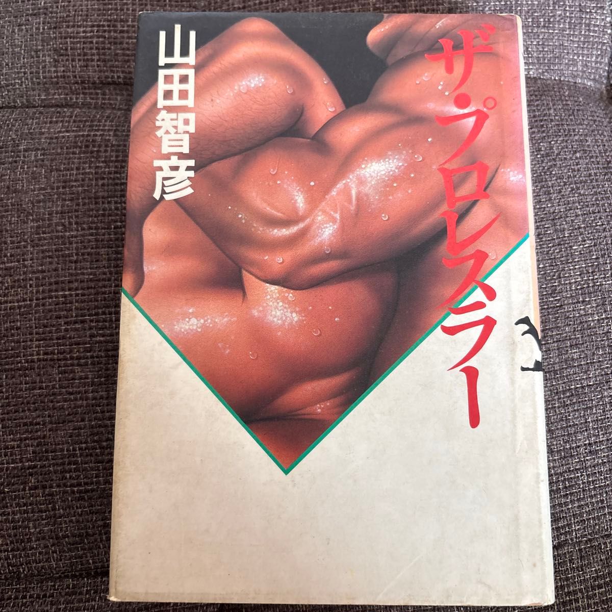 【职业摔角相关书籍】《The Wrestler》作者：山田智彦