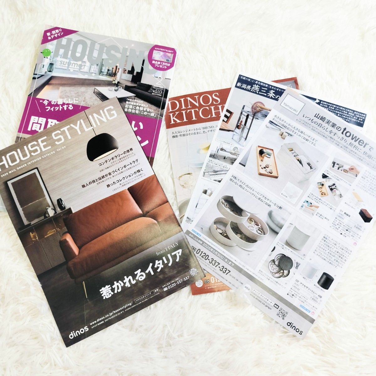 dinos HOUSE STYLING 室内装饰目录 2026 HOUSING 2024年两册