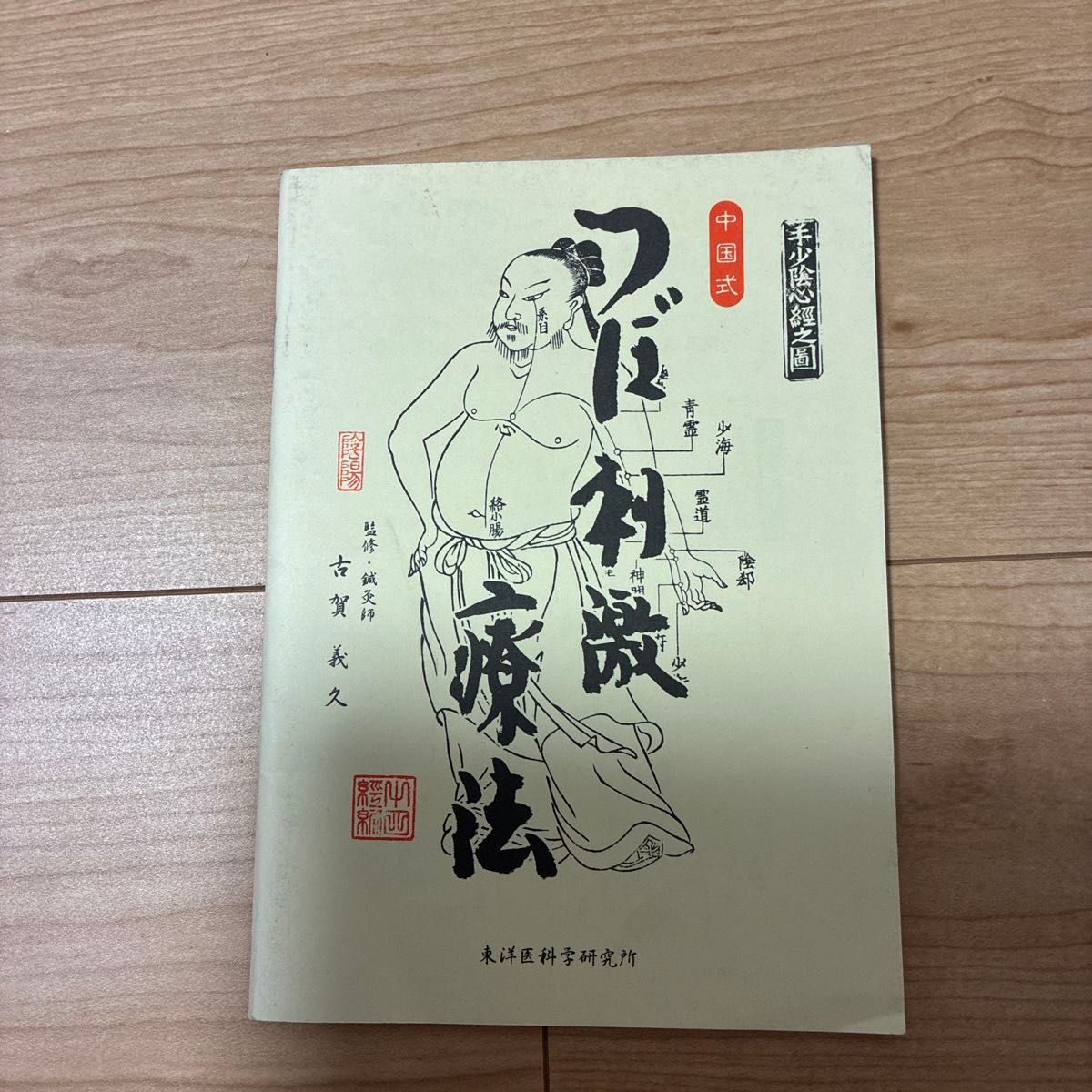 中国式 経穴刺激療法 東洋医科学研究所 古賀義久 監修 鍼灸専門書