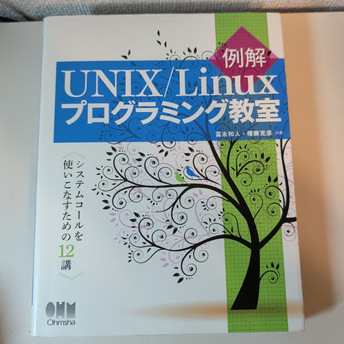 实例解析UNIX/Linux编程课堂:精通系统调用的12讲 富永和人/合著 权藤克彦/合著