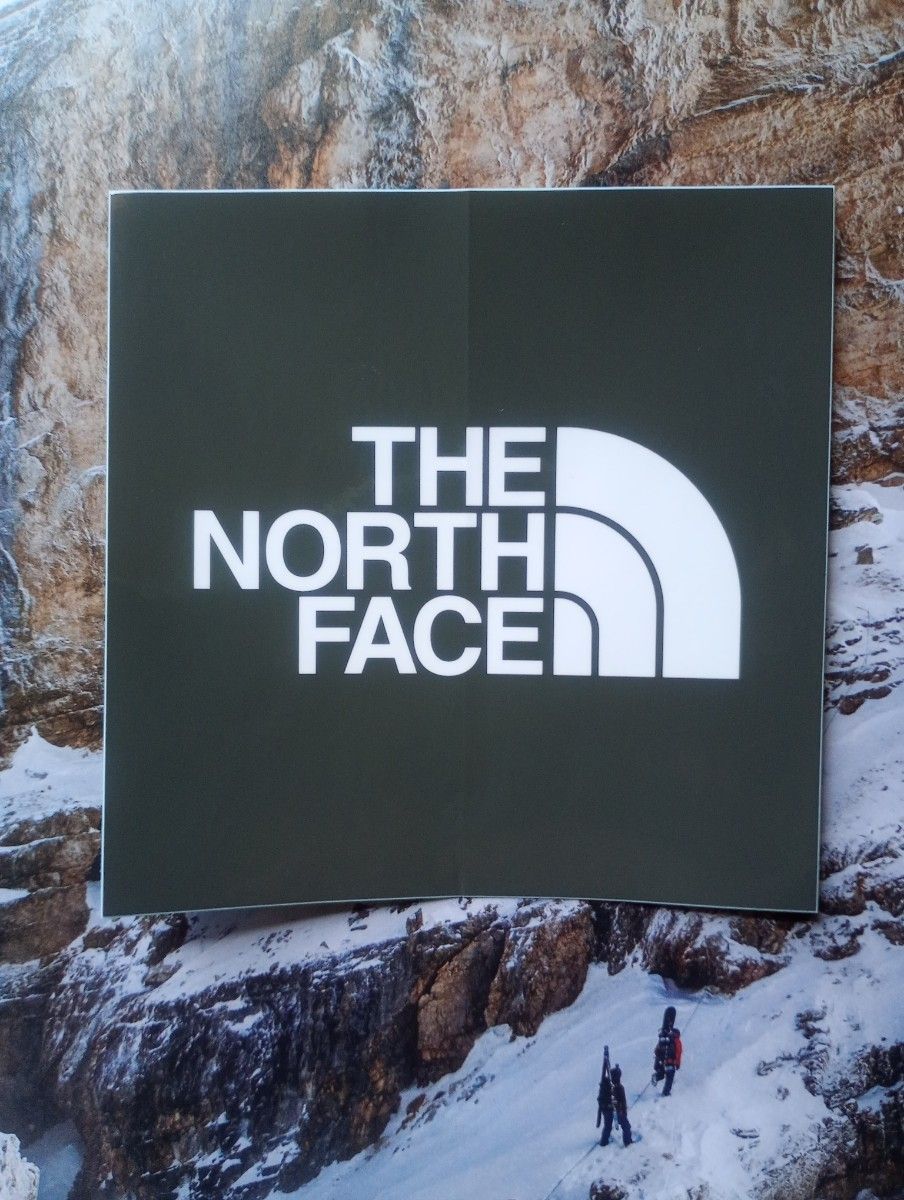 THE NORTH FACE 北面 大尺寸 标志贴纸