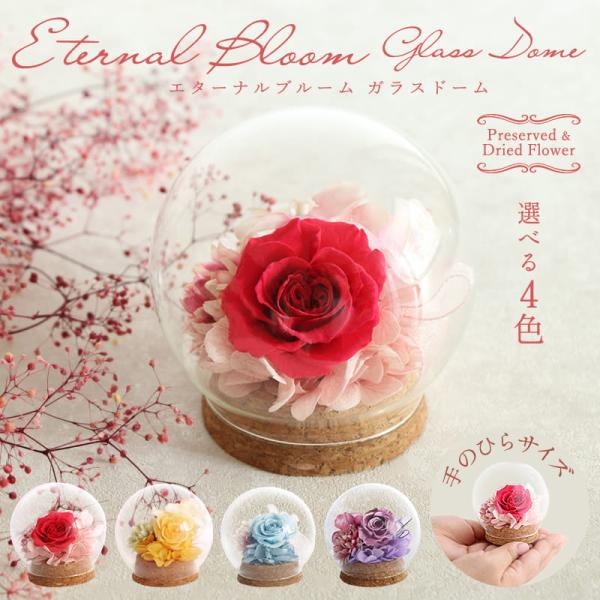 Preserved Flower Artificial Flower Gift Same-Day Shipment Glass Dome Mini Preserved Flower Small Birthday Elderly Respect Day Flower Artificial Flower Retirement Celebration