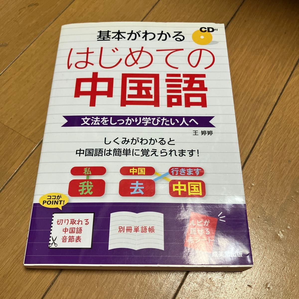 入门级汉语：轻松掌握基础，适合想扎实学习语法的读者，附CD
