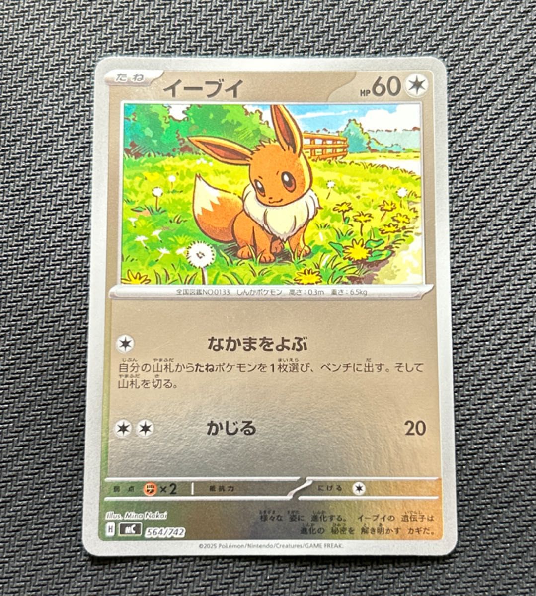 宝可梦卡牌 伊布 564/742 镜面版
