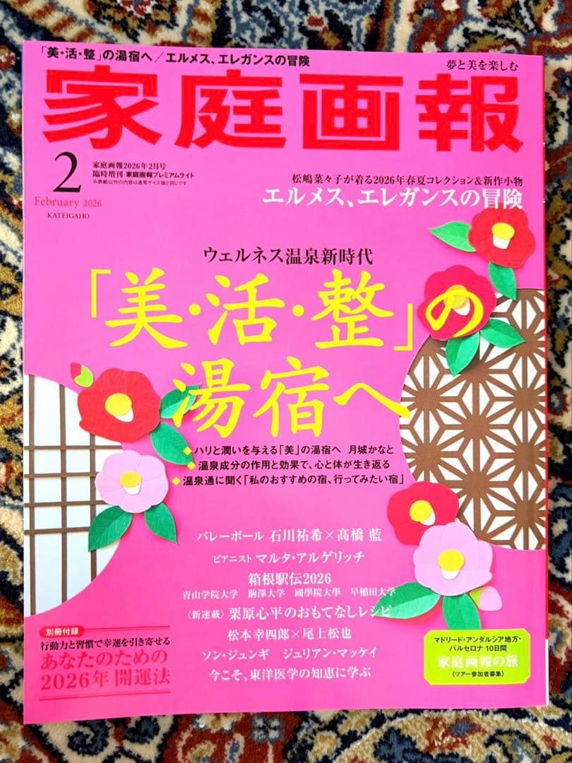 家庭画报2026年2月号 “美、活、整” 的汤宿