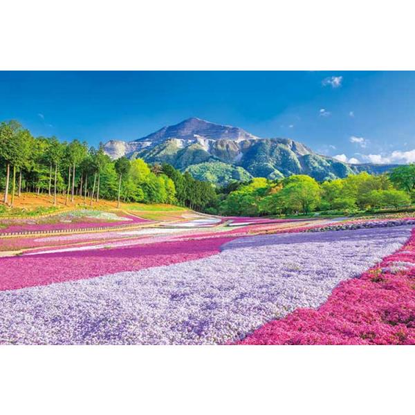 拼图 1000片 春之地毯 羊山公园 ［CP-TM］  APP-1000-883