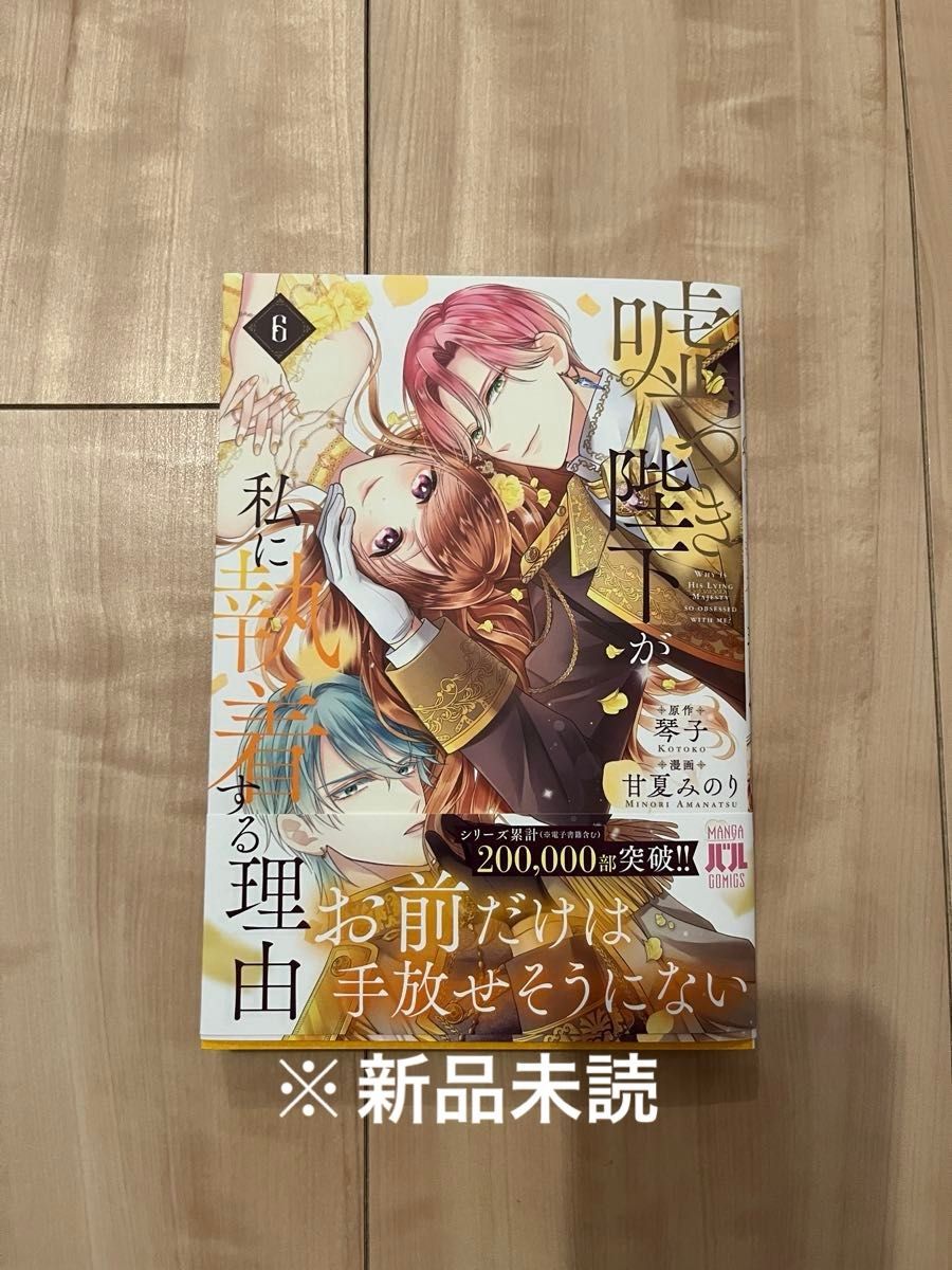 【【新品】骗子陛下为何对我如此执着 (6)
