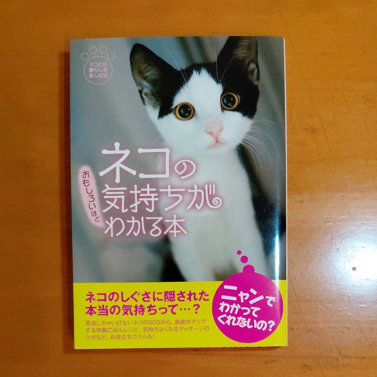 一本让你对猫咪的心思了如指掌的趣味之书——与猫共处的欢乐生活