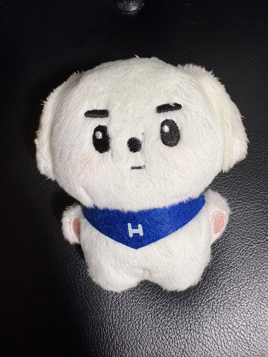 ENHYPEN son fun布娃娃吉祥物大师