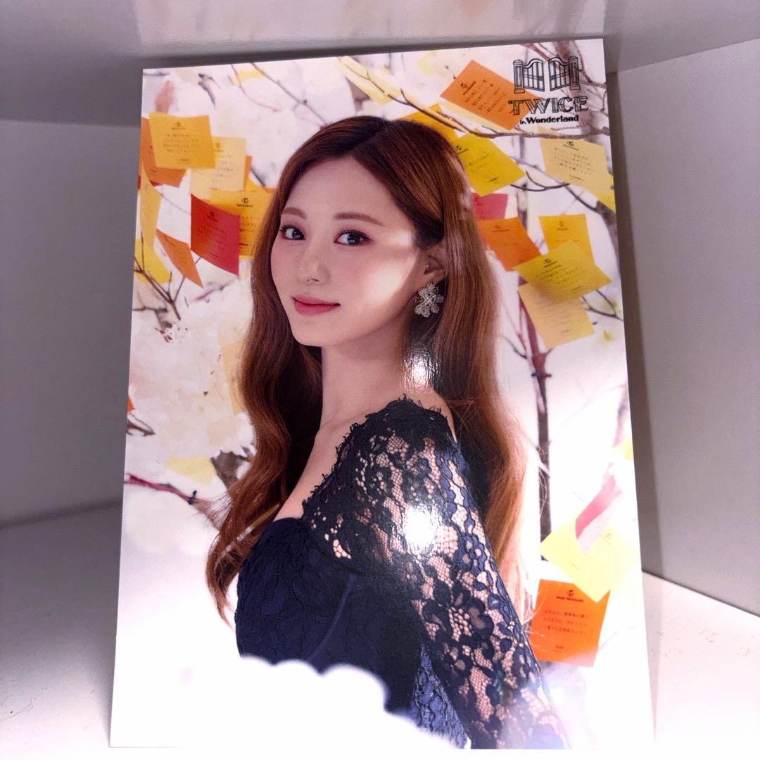 TWICE 崔叡娜 TWICE 在仙境 明信片