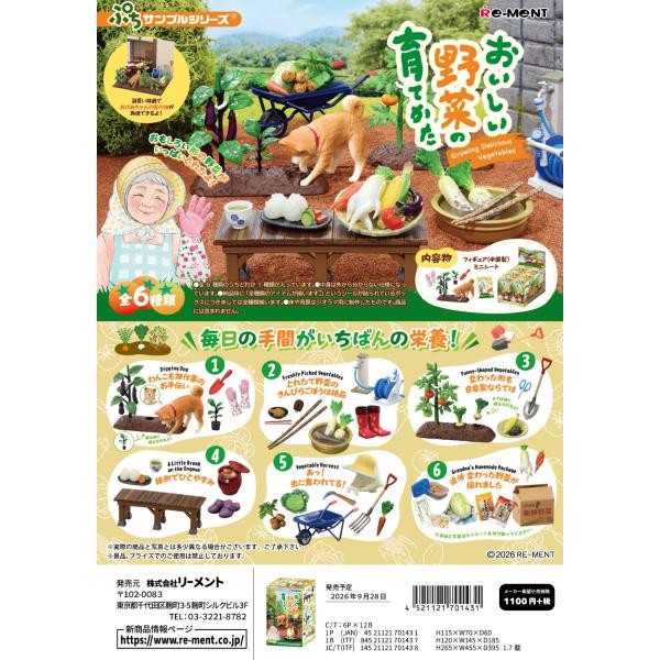 推荐样品美味蔬菜的培育方法全部6种1BOX不重复地备齐