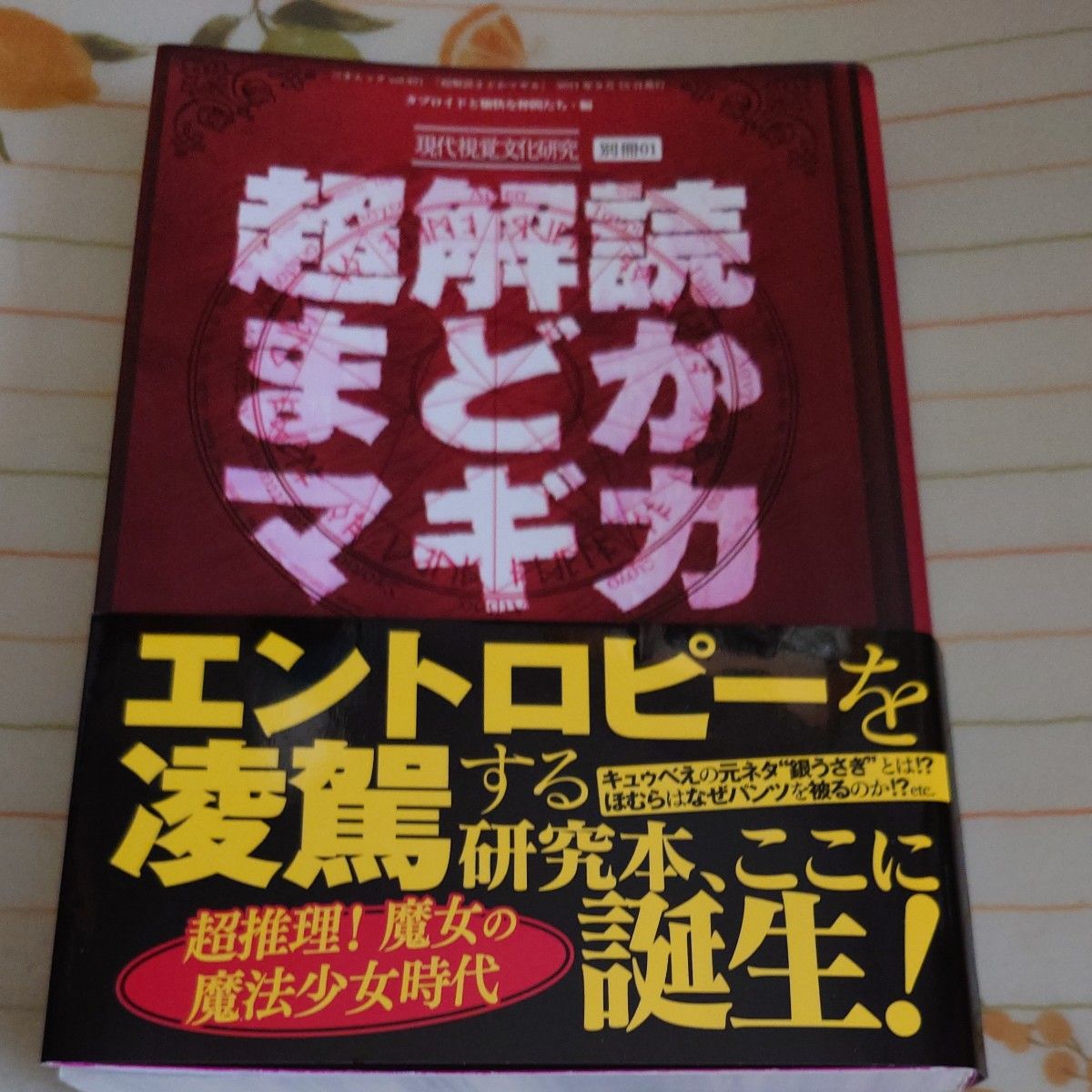 超解読まどかマギカ 現代視覚文化研究 別冊01  考察本