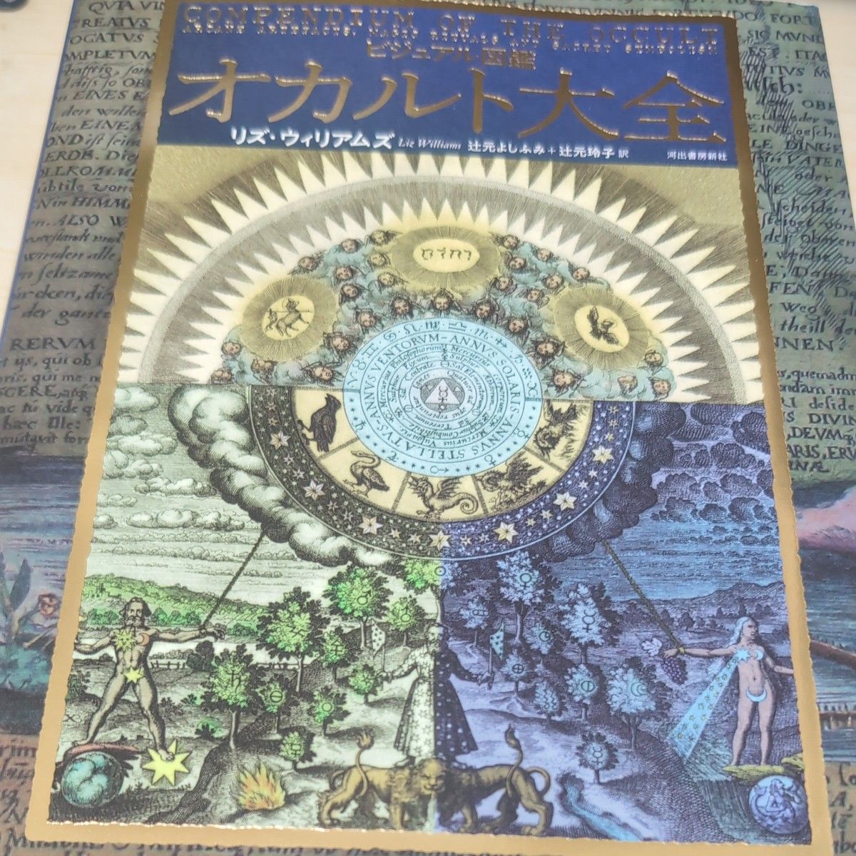 视觉图鉴 超自然大全 Liz Williams／著 辻元よしふみ／译 辻元玲子／译