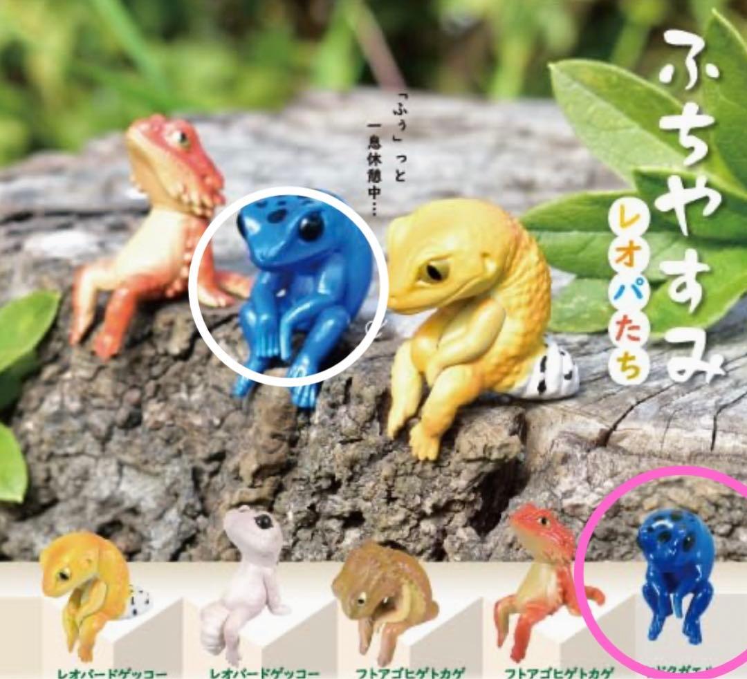 Fuchi Yasumi Leopard Frogs Poison Dart Frog Gacha