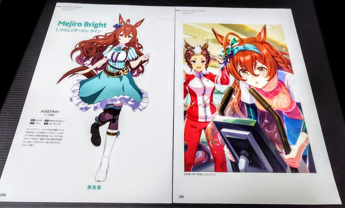 【127】赛马娘・黄金船・A4海报×2张及相框1个附赠套装(插画版&比赛服)