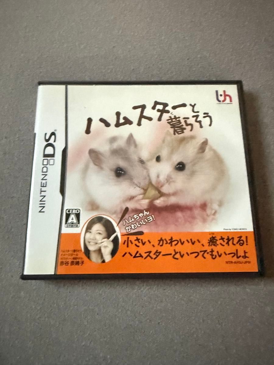 任天堂DS 与仓鼠同居 互动频道