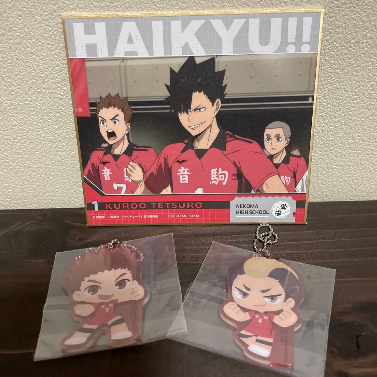 Haikyu Ichiban Kuji Acrylic Charm 2 kinds of colored paper set for sale smartphone key holder