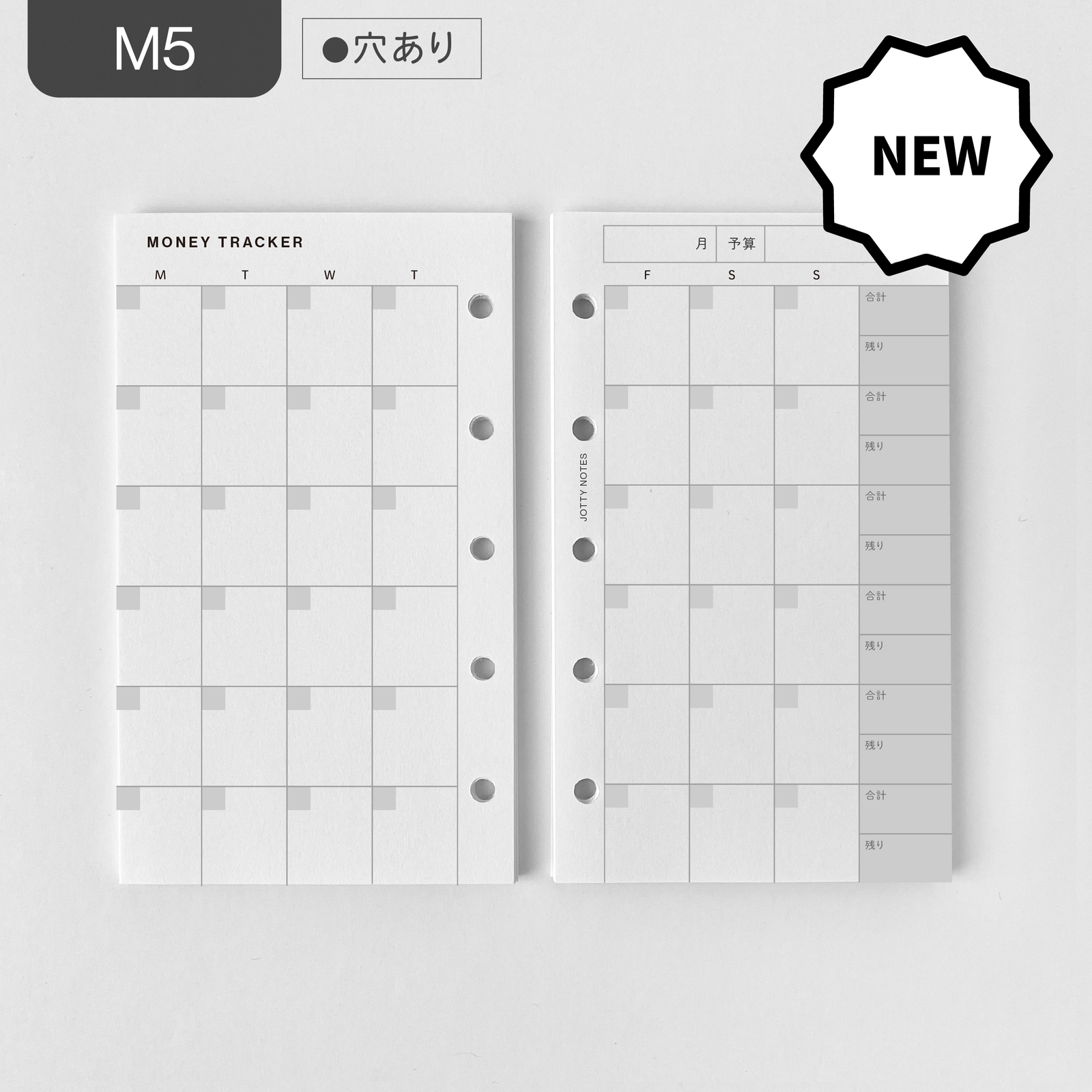 【 M5 ・带孔】财务管理内页（月度/无日期）| 支出追踪器 | 系统手帐内页