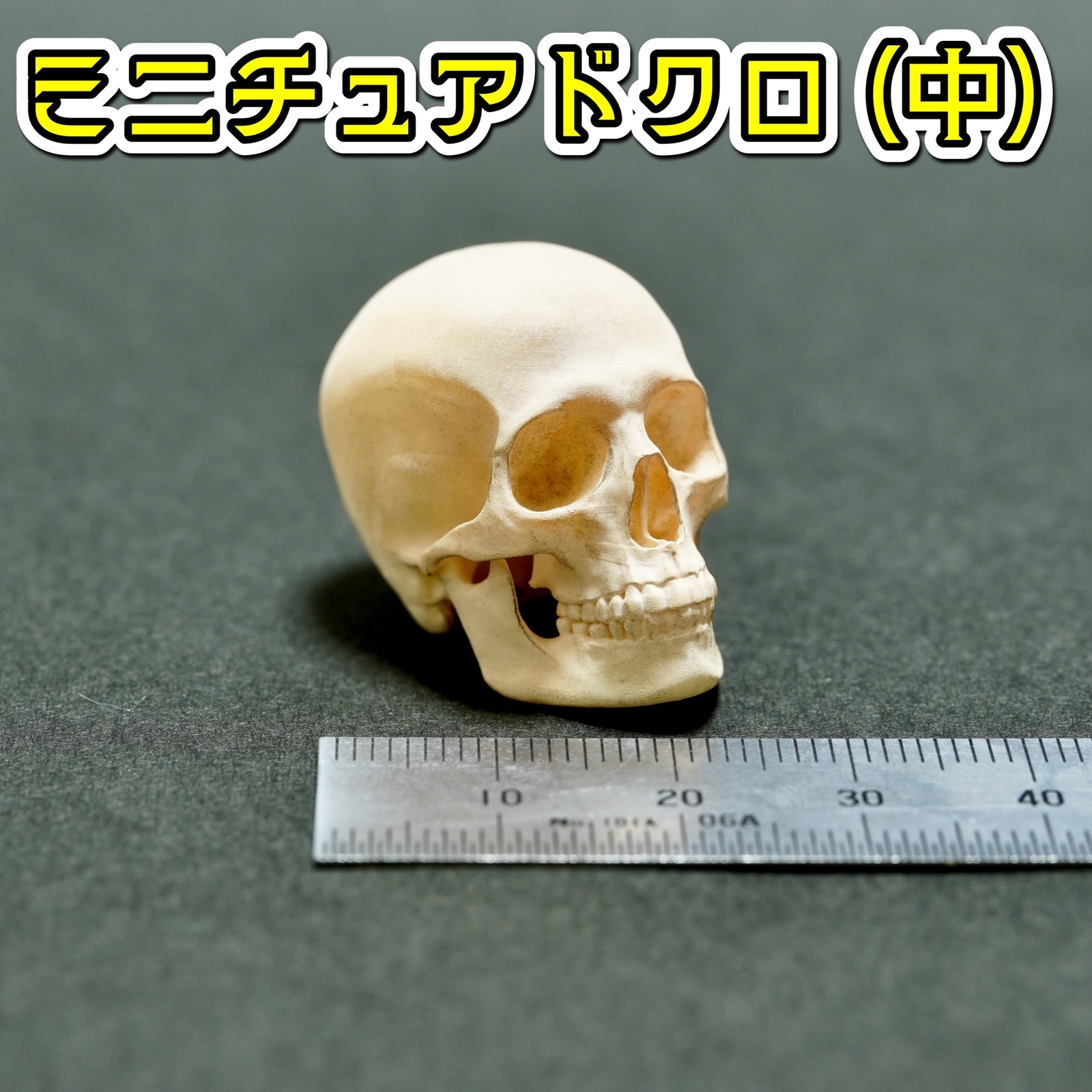 骷髅微型摆件(中号) 骷髅 头骨 骷髅头 恐怖 万圣节