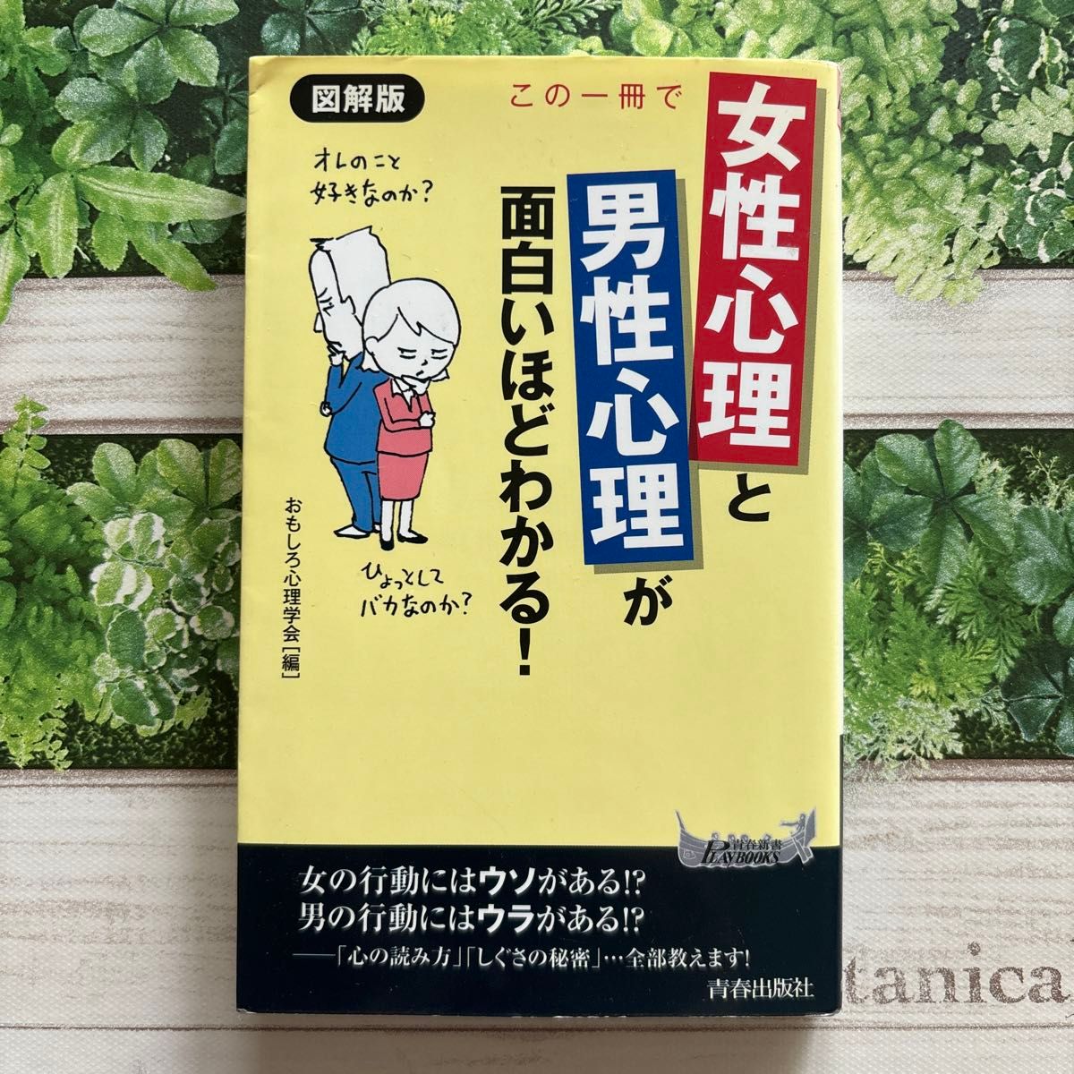 图解版：这本书让你趣味十足地掌握女性心理与男性心理！青春出版社