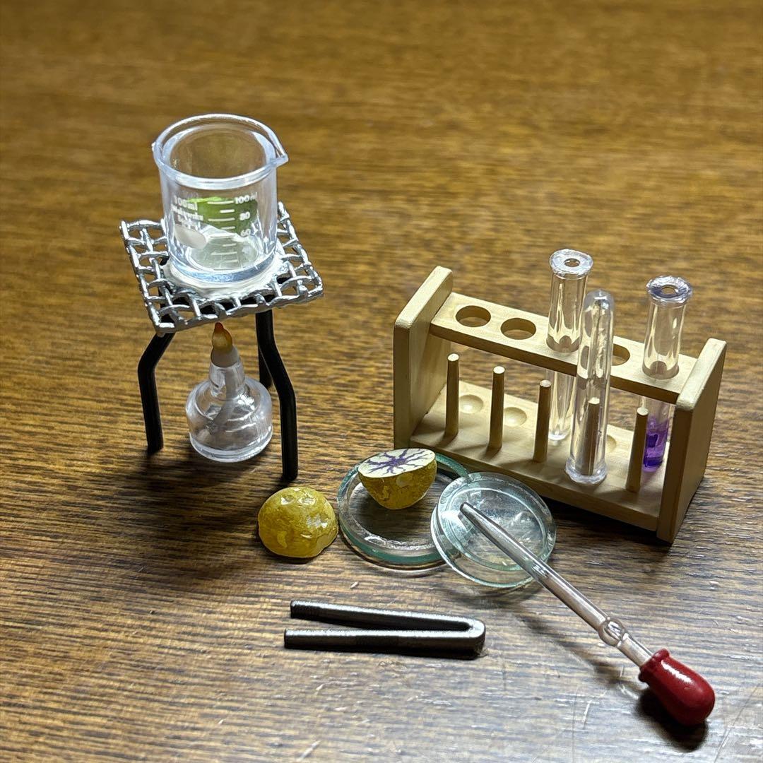 Ultra Rare Vintage Reiment Miniature Starch Experiment: When We Were All Elementary School Students