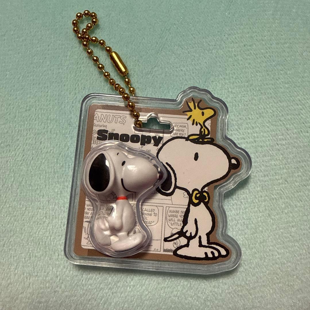 Snoopy Package Charm Snoopy