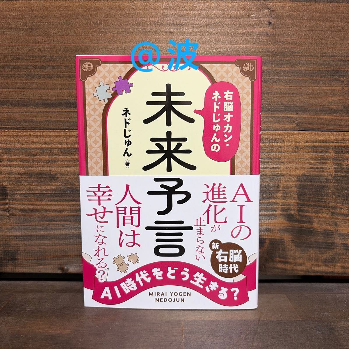 全新未使用☆右脑妈妈·Nedo Jun的未来预言
