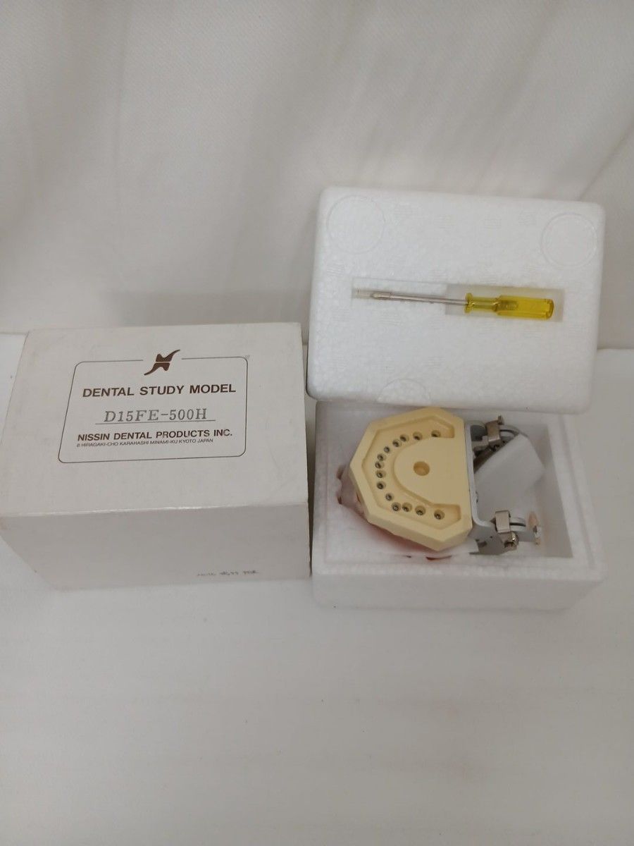 NISSIN DENTAL STUDY MODEL D15FE-500H 牙科实习模型 日新 牙齿模型 瑕疵品