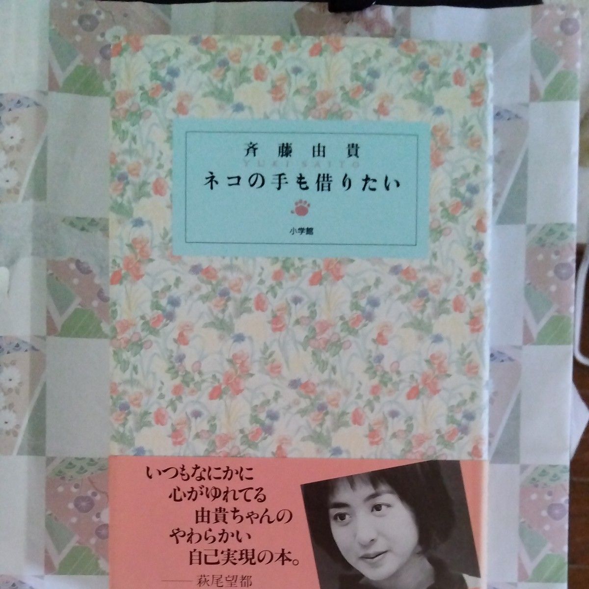 斉藤由貴 ネコの手も借りたい 小学館