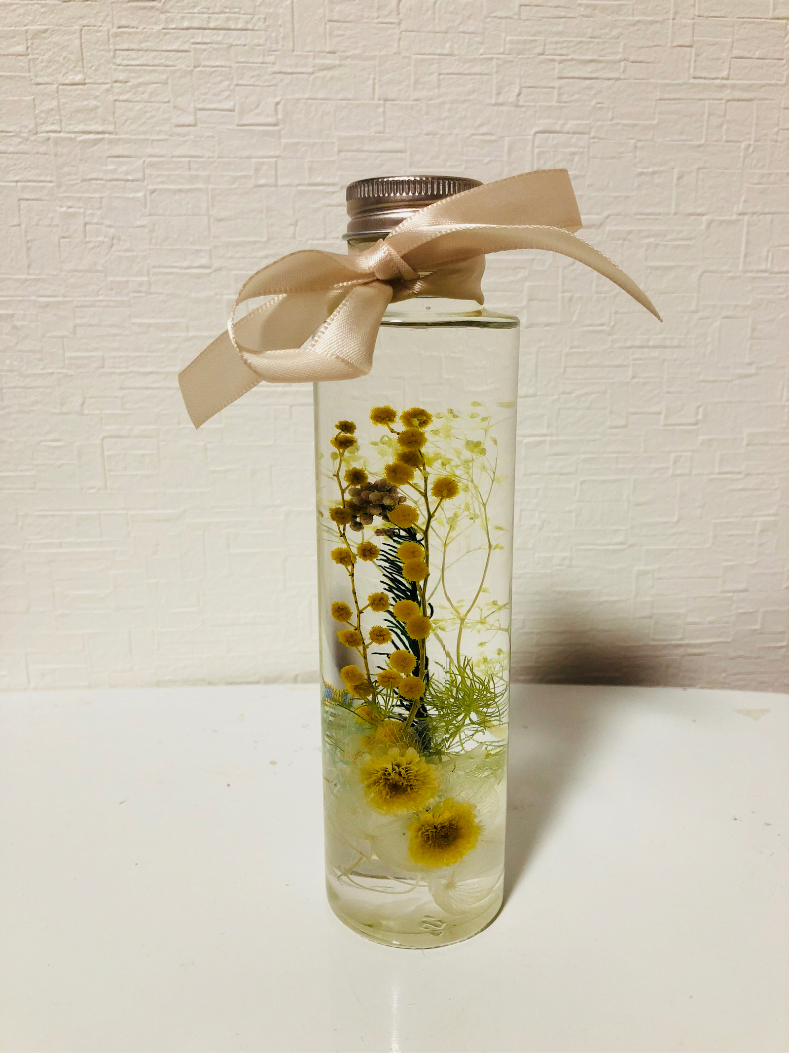 植物标本瓶