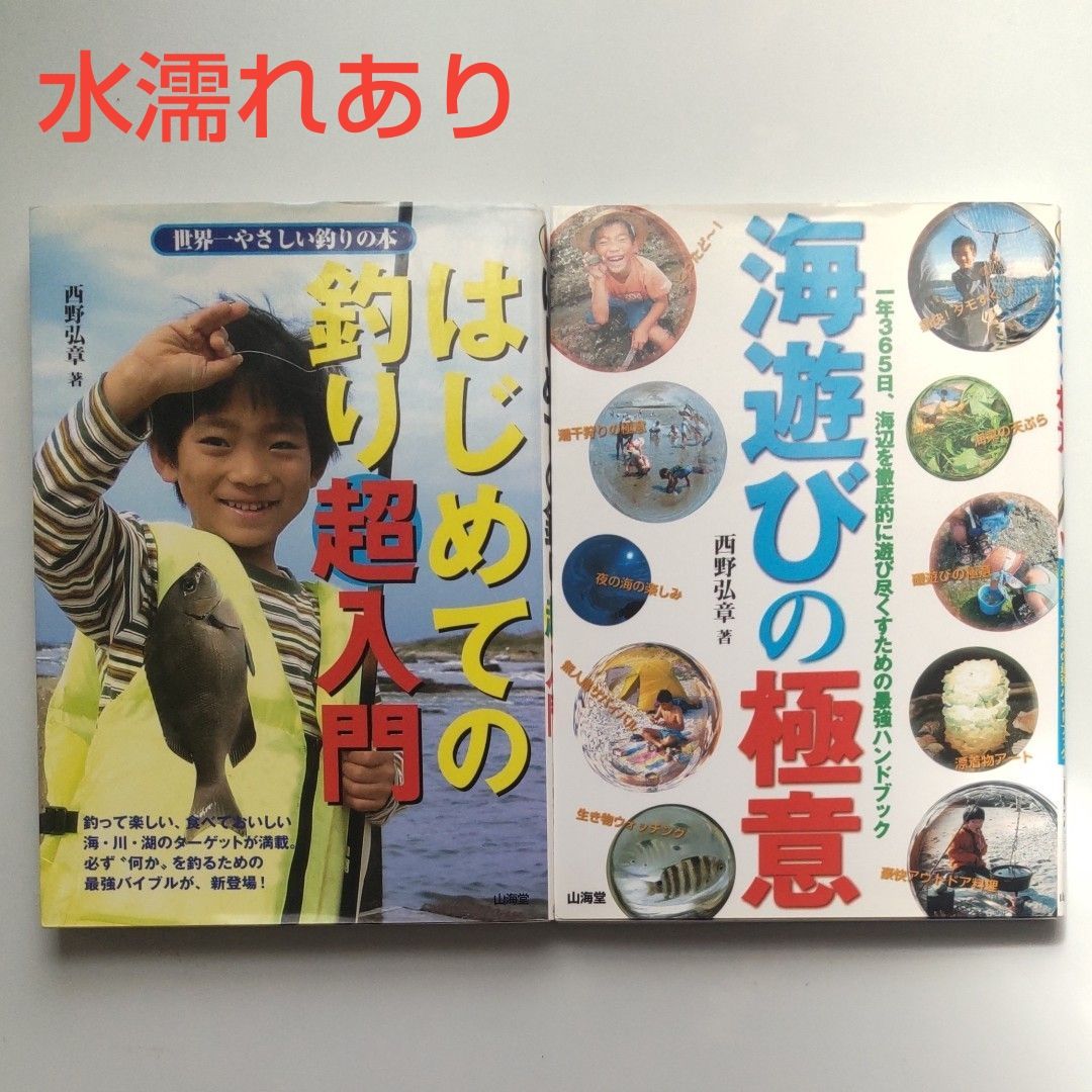 ((有瑕疵)西野弘章 钓鱼书籍2册套装 初学钓鱼超入门 海洋游玩的精髓