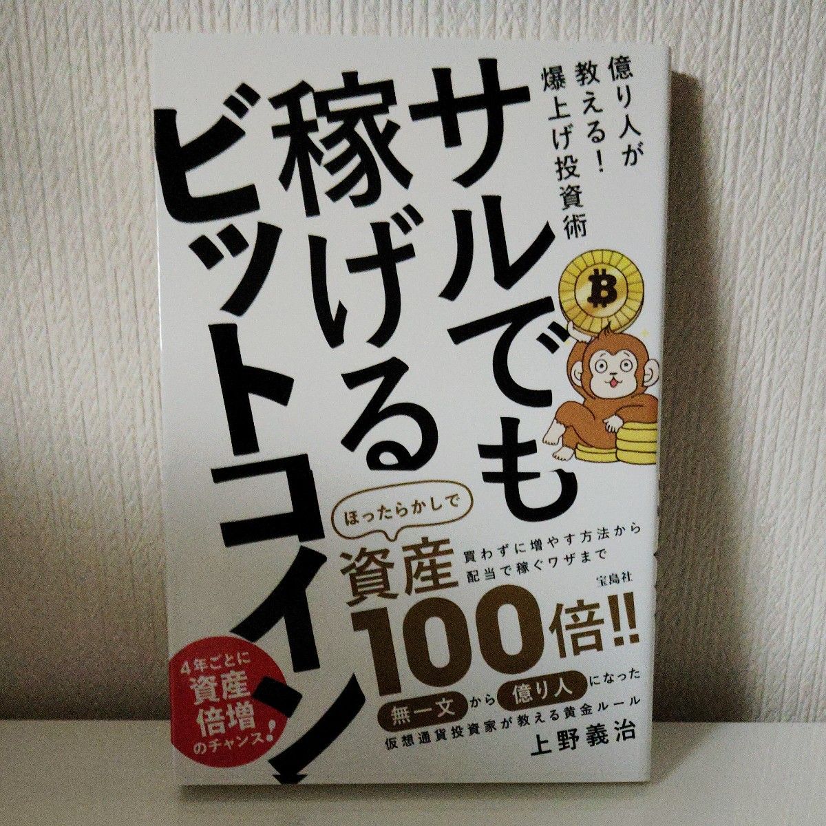 连猴子都能赚到的比特币——亿万富翁亲授！暴涨投资术 上野义治 著