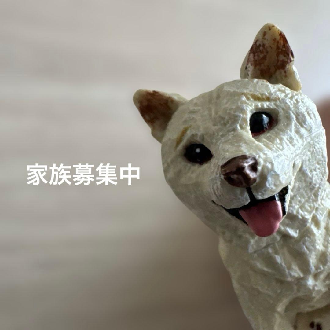 Mio Hashimoto Dog Sculpture Gacha White Shiba Figure