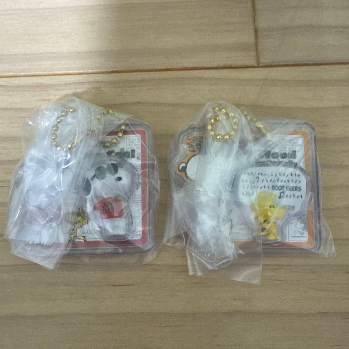 Snoopy Woodstock Package Charm Figure Set of 2