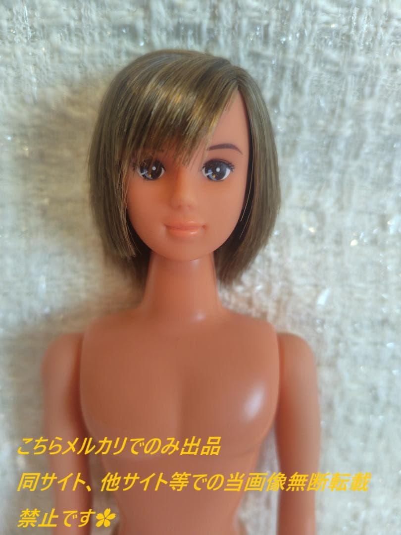 Jenny Friend Boyfriend Tomoki Rika-chan Castle? Doll
