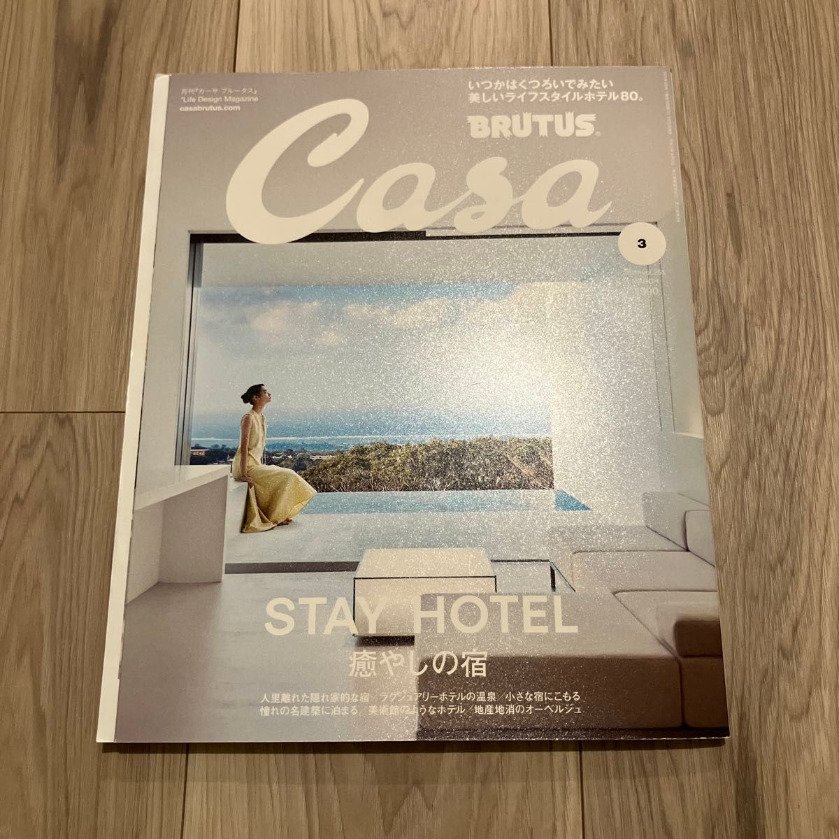 Casa BRUTUS 卡萨布鲁塔斯 3月号 STAY HOTEL 治愈系旅馆