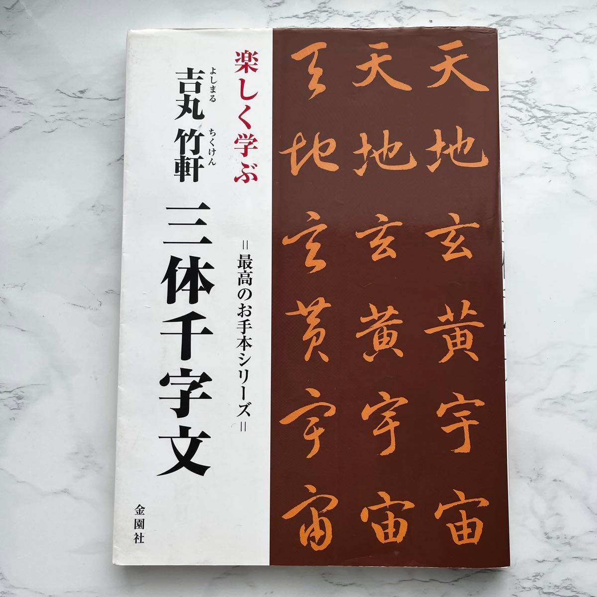 轻松学习 吉丸竹轩 三体千字文 最佳范本系列 金园社