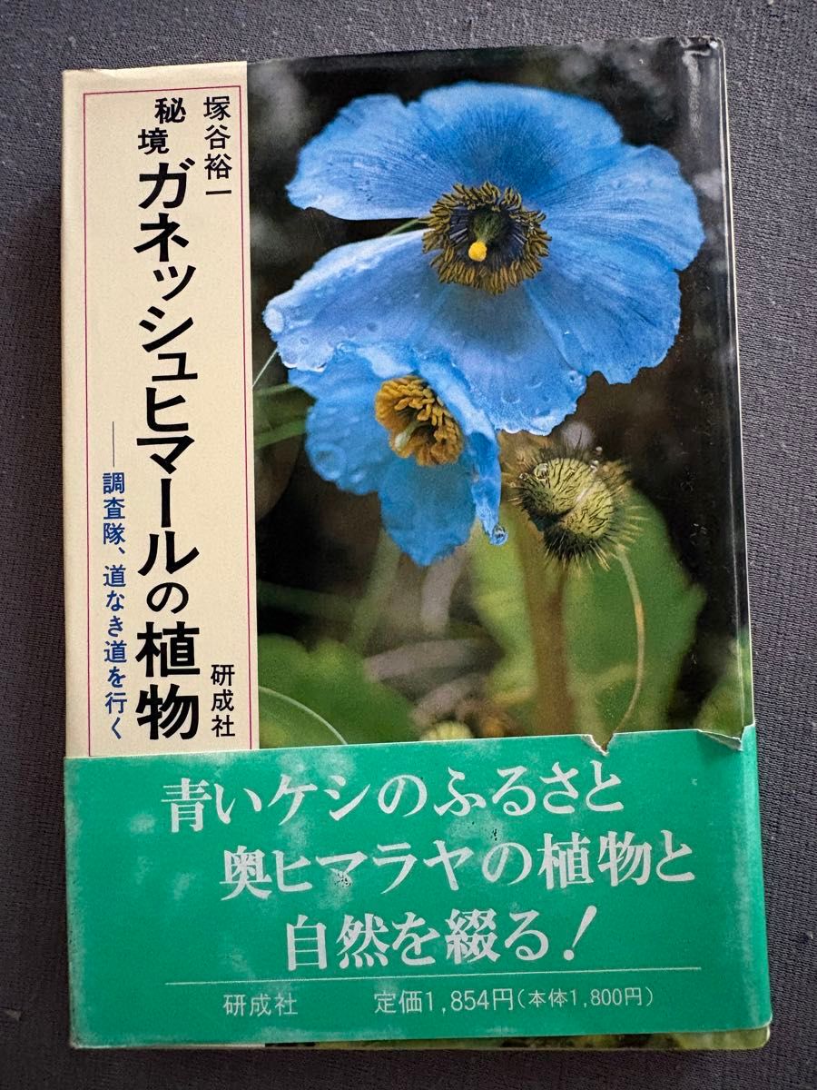 【初版本】秘境ganesh himaru的植物调查队，在没有道路的道路上行走的冢谷裕一研成社