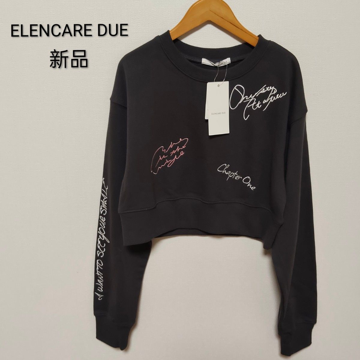 全新未使用带吊牌 ELENCARE DUE 埃伦卡雷杜埃 标志刺绣短款卫衣 炭灰色 自由尺寸