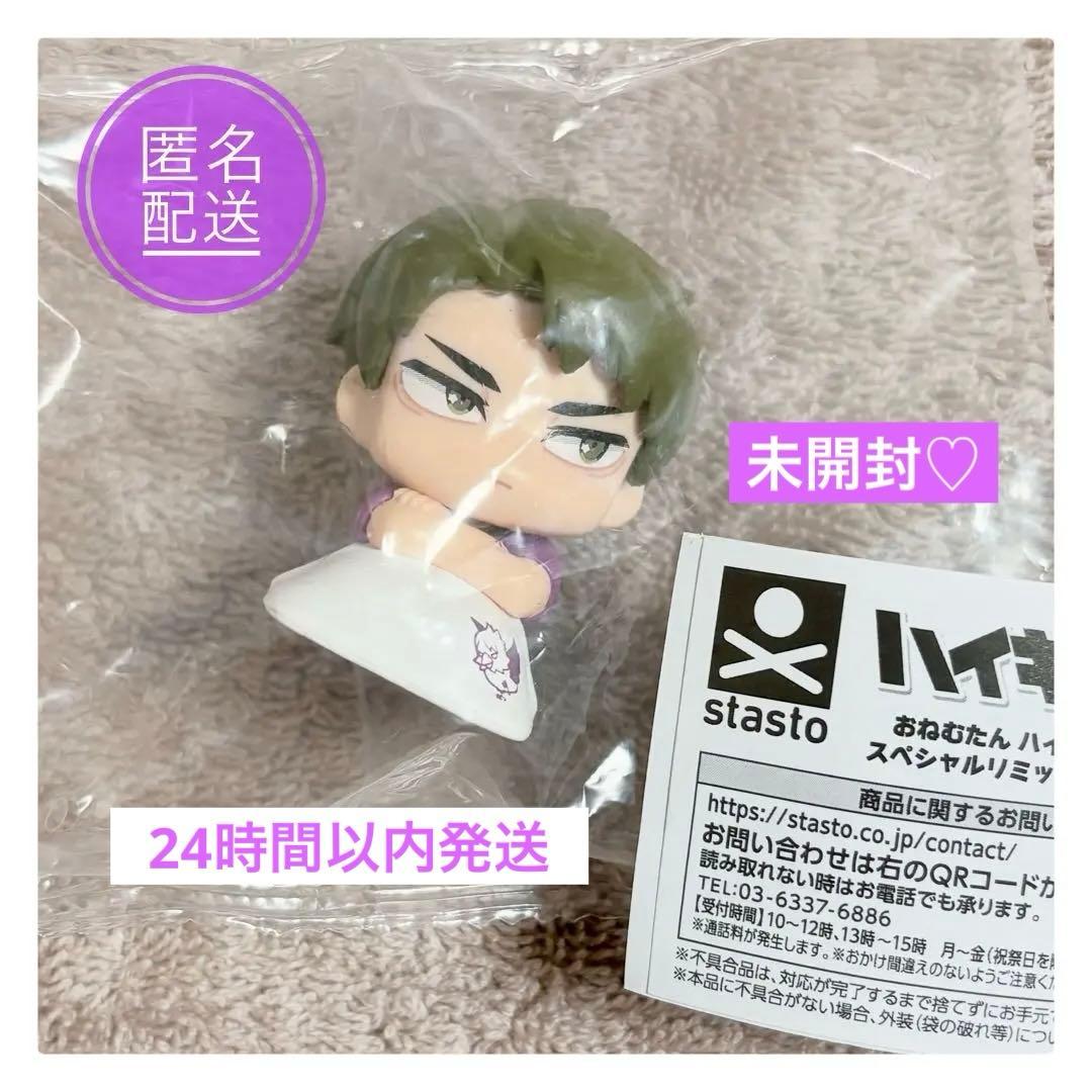 Haikyu!! Onezumutan Special Remix Captain Edition Ushijima Wakatoshi Shiratorizawa Gacha